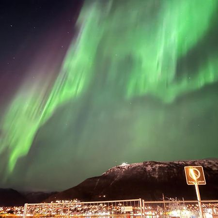 Guesthouse In Tromso Center By Dada Екстер'єр фото